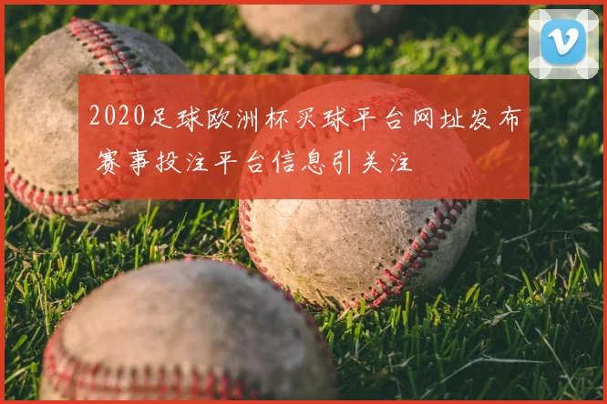 2020足球欧洲杯买球平台网址发布 赛事投注平台信息引关注