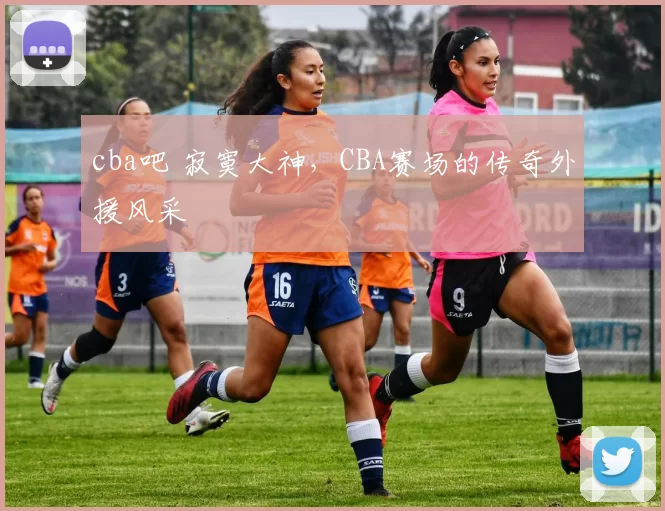 cba吧 寂寞大神,CBA赛场的传奇外援风采