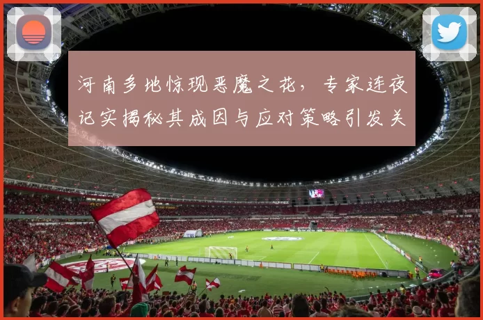 河南多地惊现恶魔之花，专家连夜记实揭秘其成因与应对策略引发关注